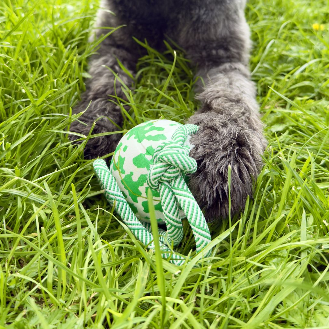 Groen-witte Bamboe Bal met koord – duurzame hondenspeelbal van rubber en bamboevezel met pootje