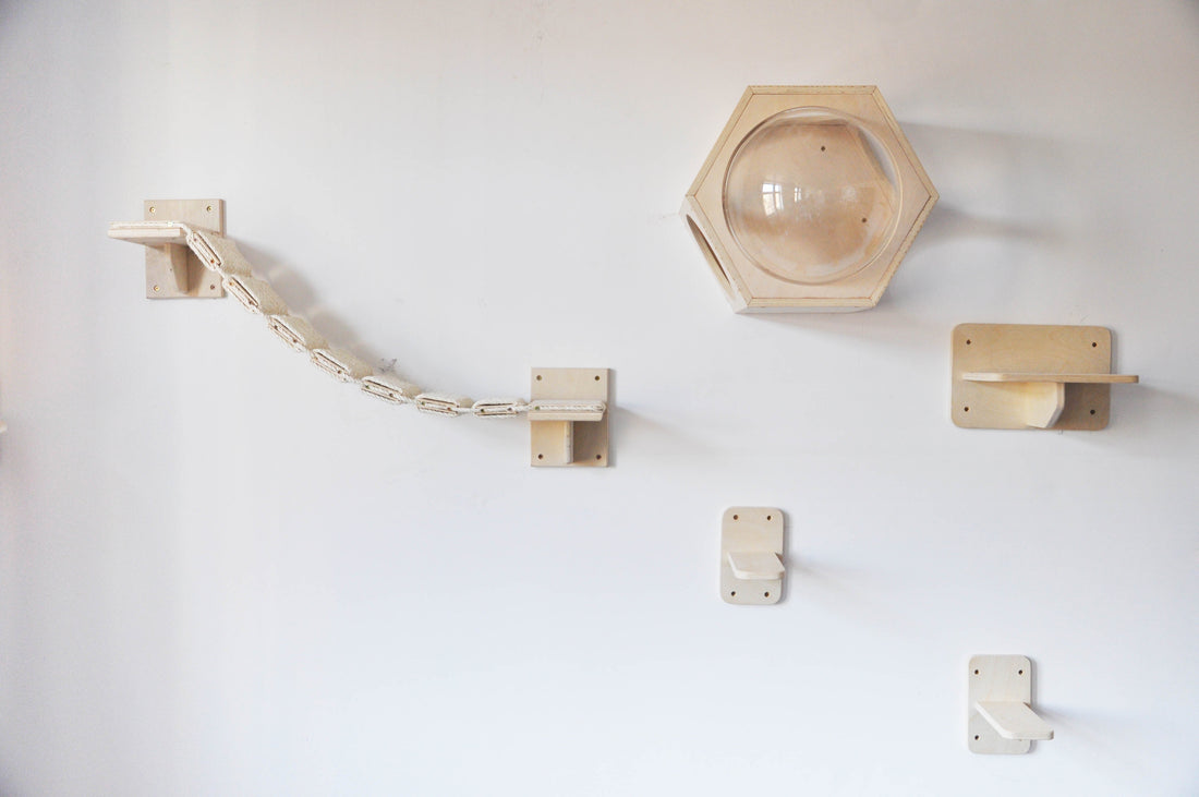 Waarom klimmen gezond is voor je kat (én hoe jij dat thuis stimuleert)