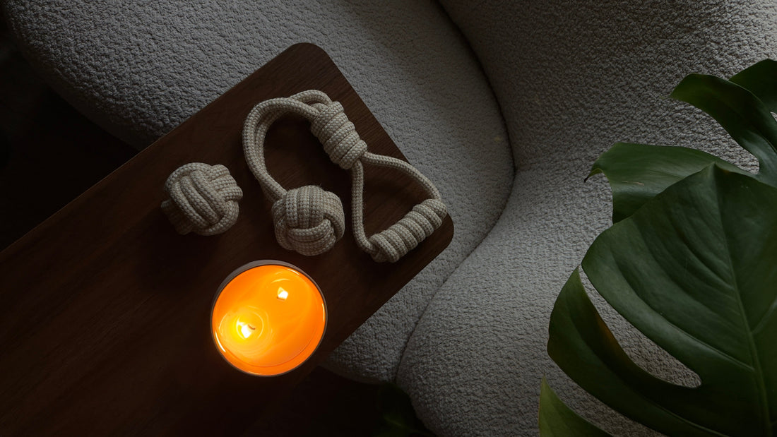 Stijlvol Hondenspeelgoed | Speeltjes die bij je interieur passen