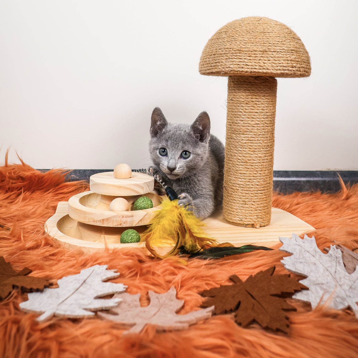 Design krabpaal voor katten in modern interieur met kattenkruid  bal