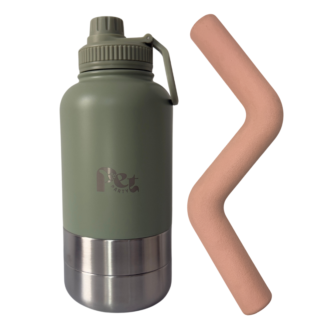 draagbare 3-in-1 rvs hondenfles met speeltak van natuurlijk rubber