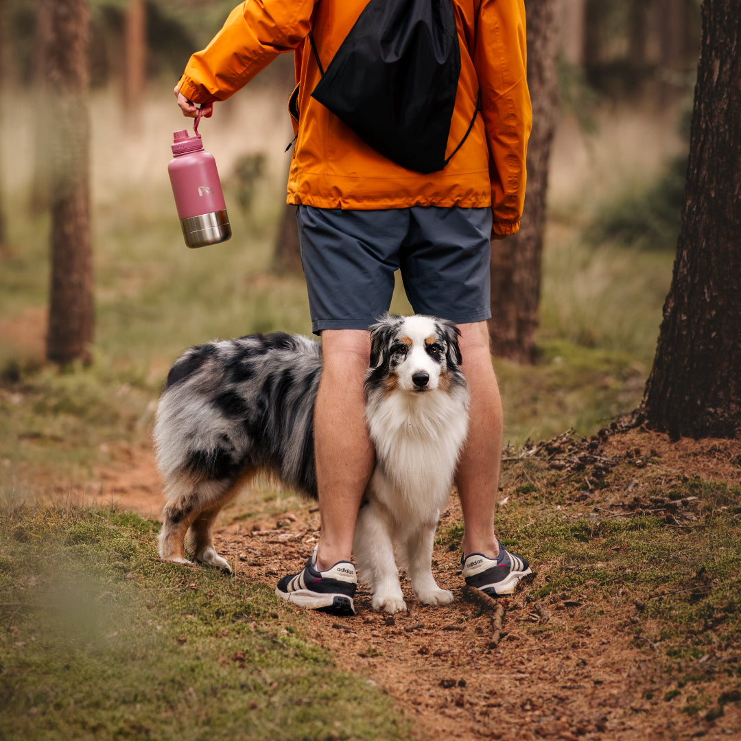 Bruin_RVS_honden_drinkfles_3-in-1_met_voer-_en_waterbakjes_1000_ml_in_ivoorwit_rookroze_saliegroen_en_zandbruin_wit