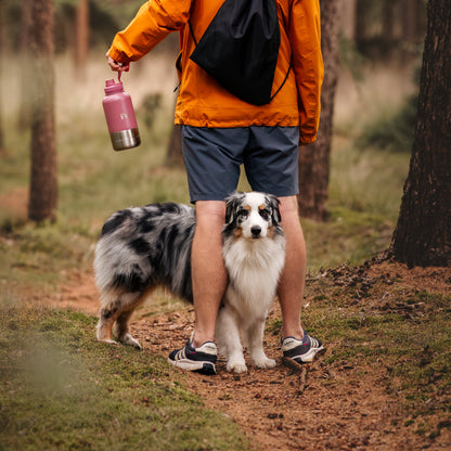 Bruin_RVS_honden_drinkfles_3-in-1_met_voer-_en_waterbakjes_1000_ml_in_ivoorwit_rookroze_saliegroen_en_zandbruin_wit