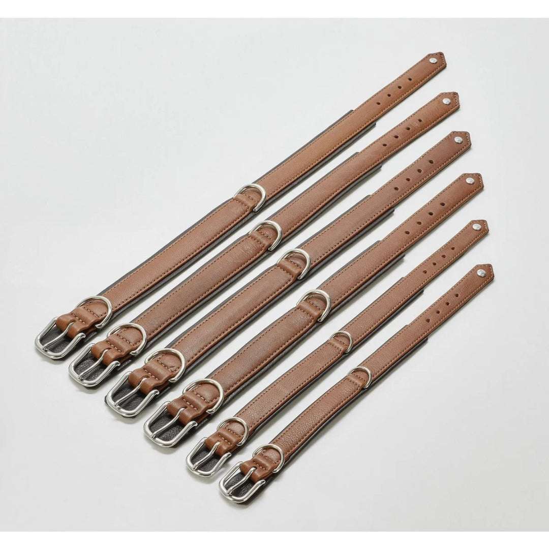 Cognackleurige leren hondenhalsband AMICI met dubbele D-ring