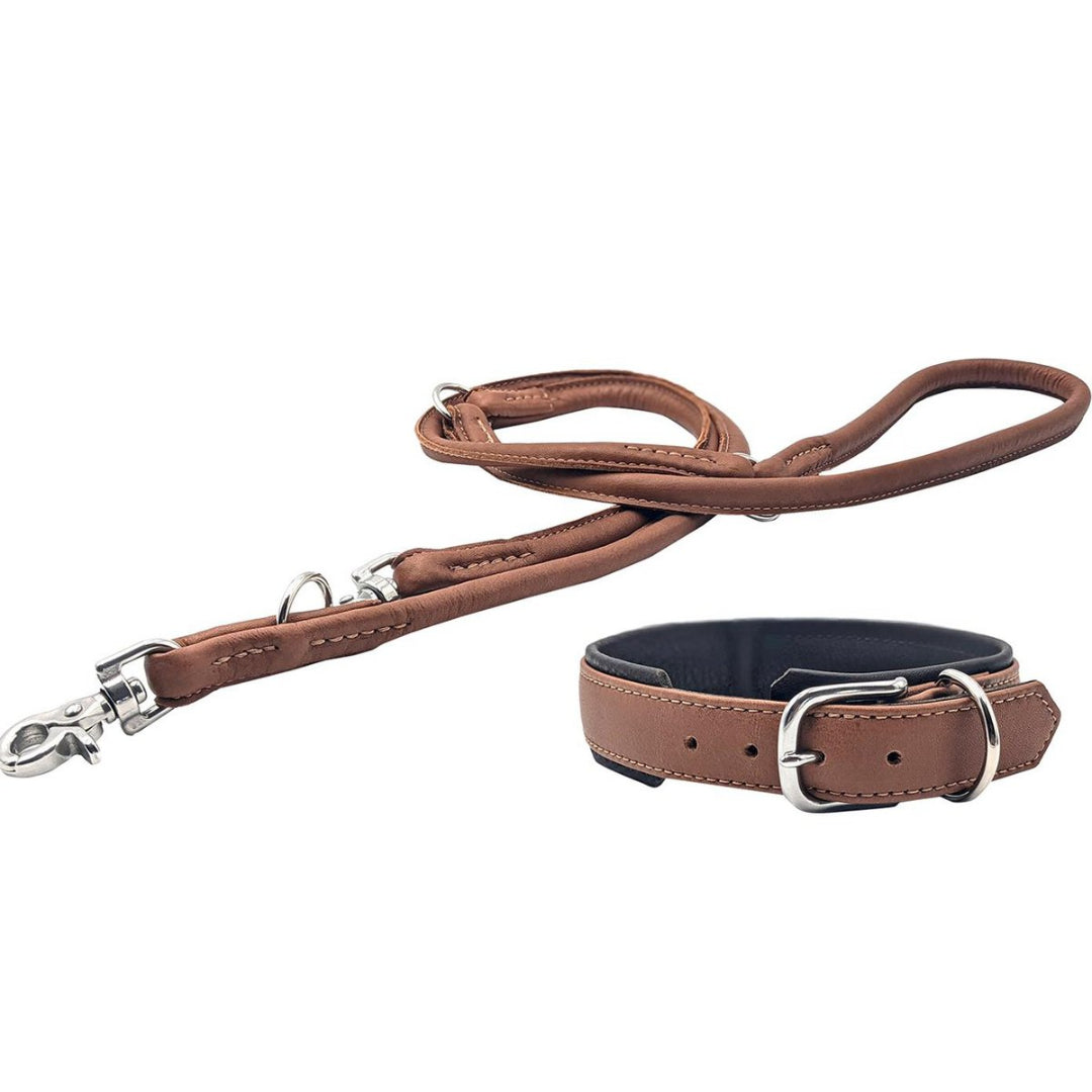 Cognackleurige_leren_hondenhalsband_AMICI_met_dubbele_D-ring_puppy