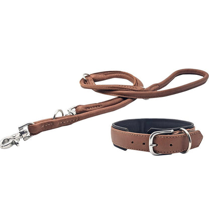 Cognackleurige_leren_hondenhalsband_AMICI_met_dubbele_D-ring_puppy