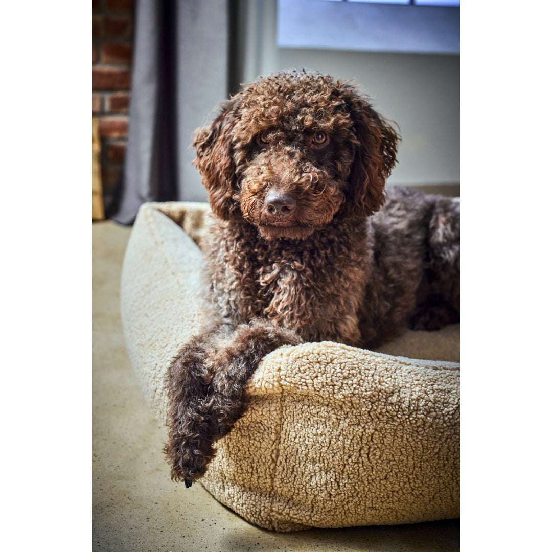 Crèmekleurig hondenbed TEDDY van LABONI in zachte bouclé stof