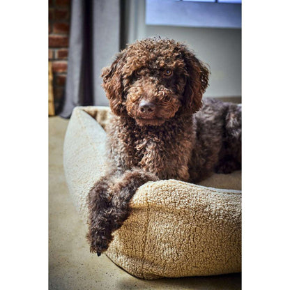 Crèmekleurig hondenbed TEDDY van LABONI in zachte bouclé stof