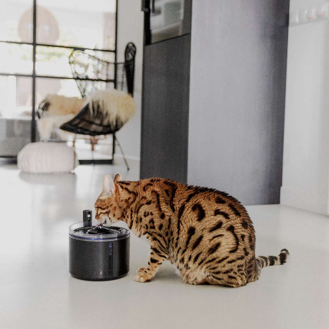 district-70-flow-drinkfontein-zwart