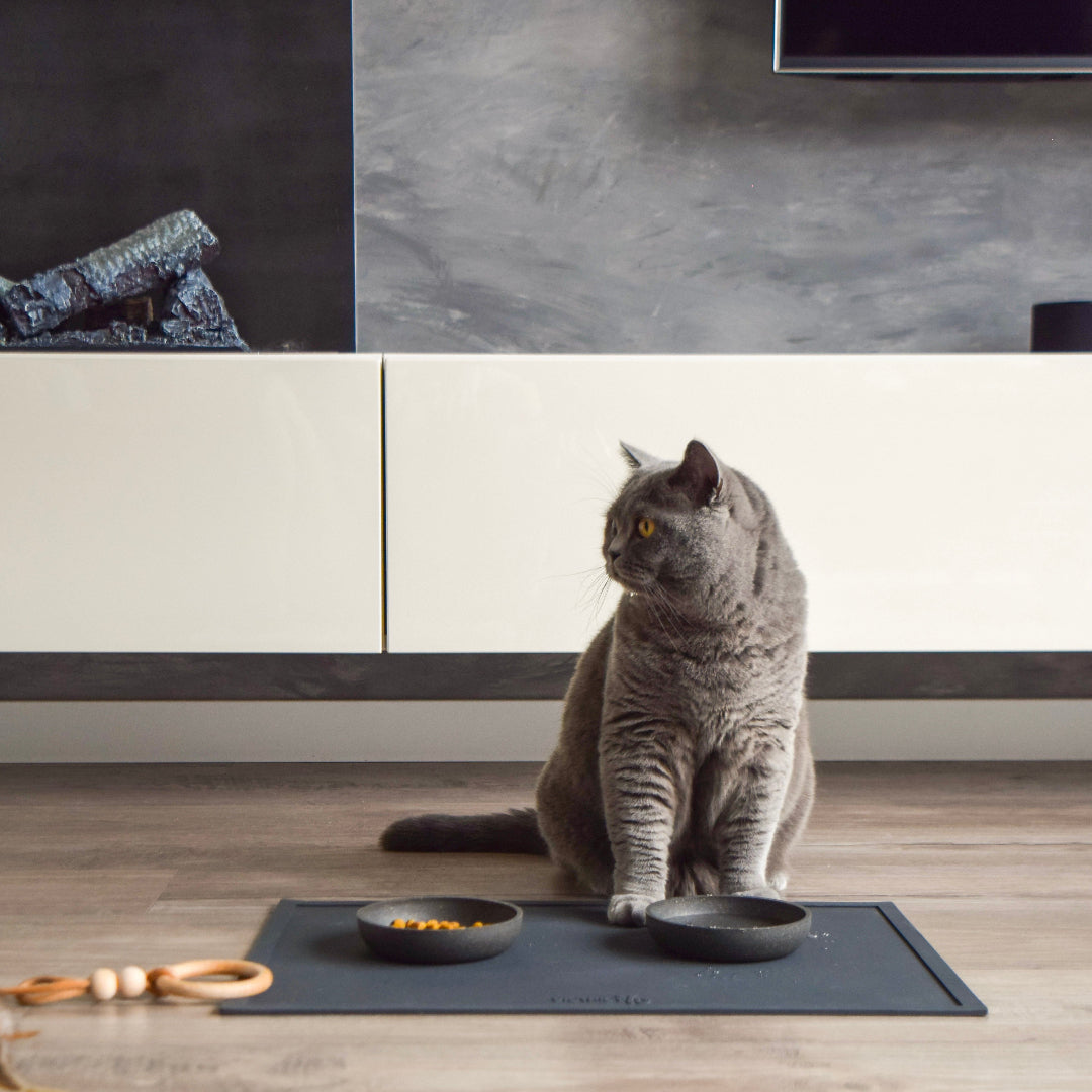 District 70 SERVE siliconen placemat antislip onderlegger voor voerbak hond kat keuken design