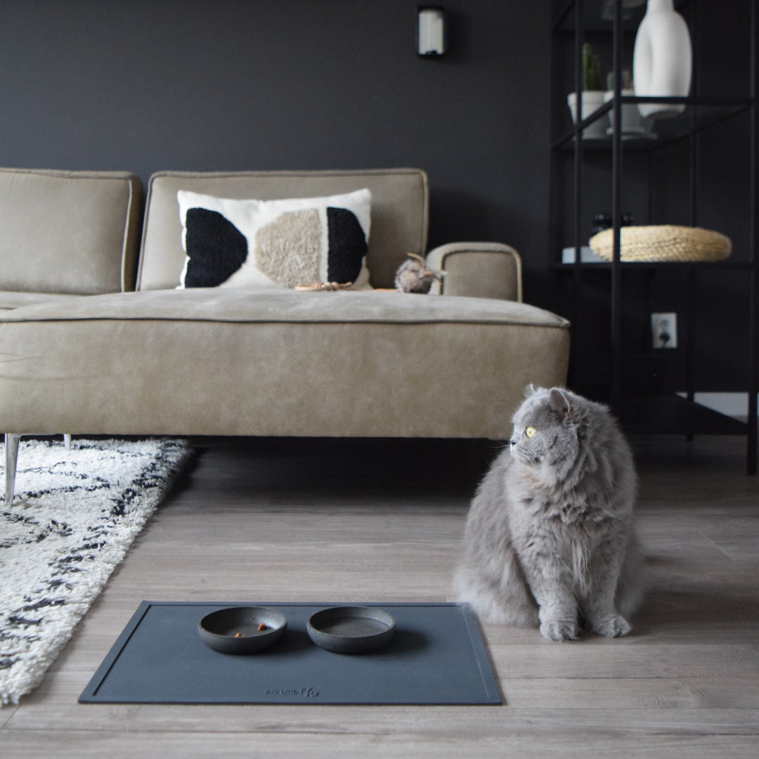 District 70 SERVE siliconen placemat antislip onderlegger voor voerbak hond kat keuken