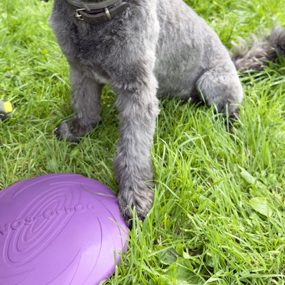 Dog-O-Soar hondenfrisbee van natuurlijk rubber in paars en geel, 22 cm
