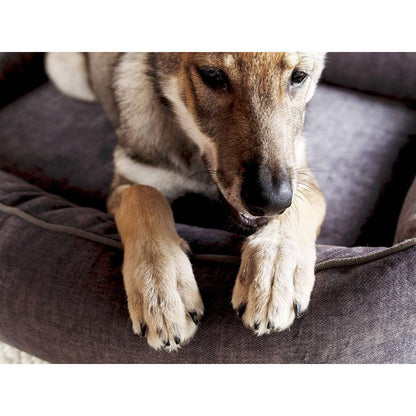 Gramietkleurig orthopedisch hondenbed GLAM van LABONI met velvet-look