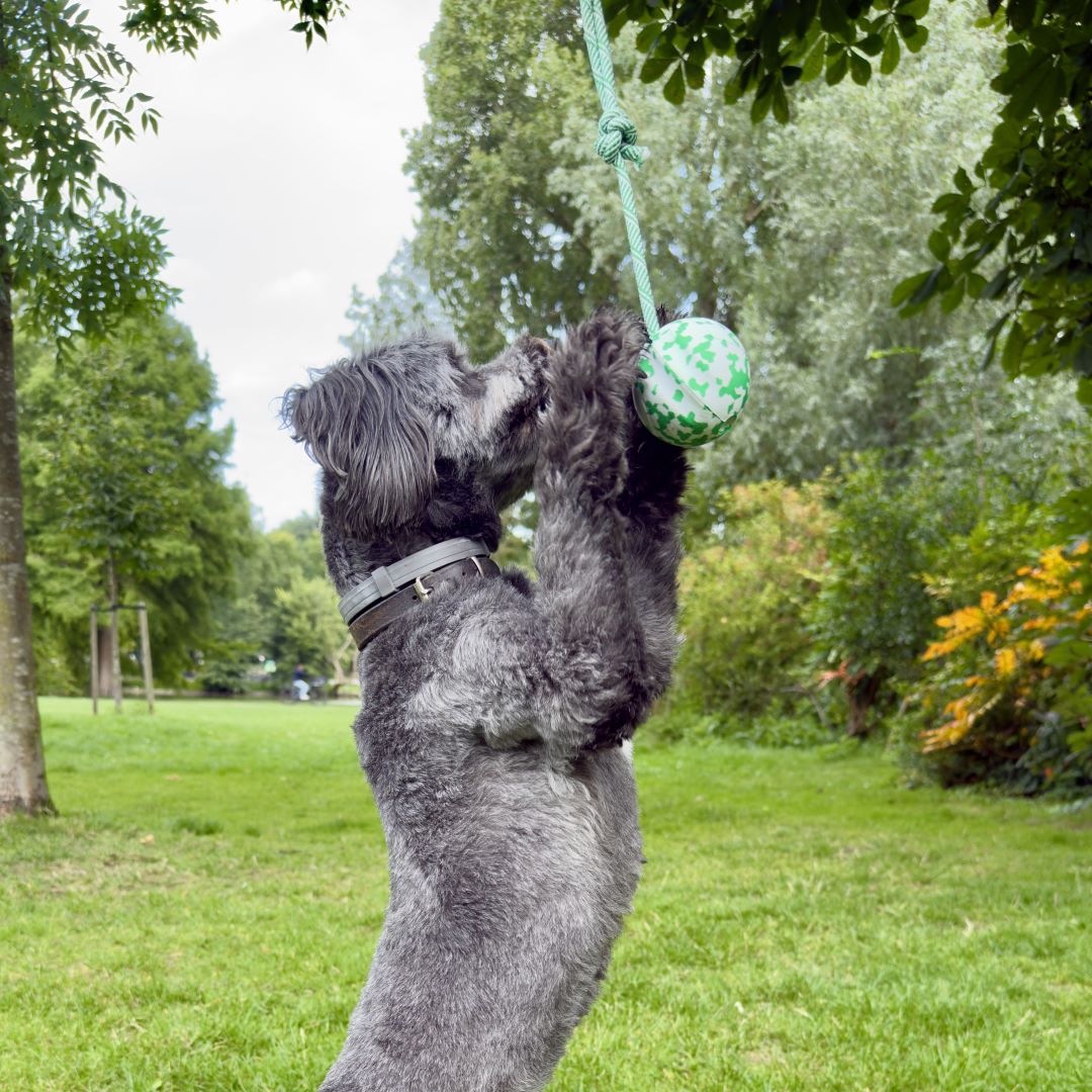 Groen-witte Bamboe Bal met koord – duurzame hondenspeelbal van rubber en bamboevezel met hondje
