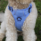 Blauw of roze no pull harnas voor honden.
