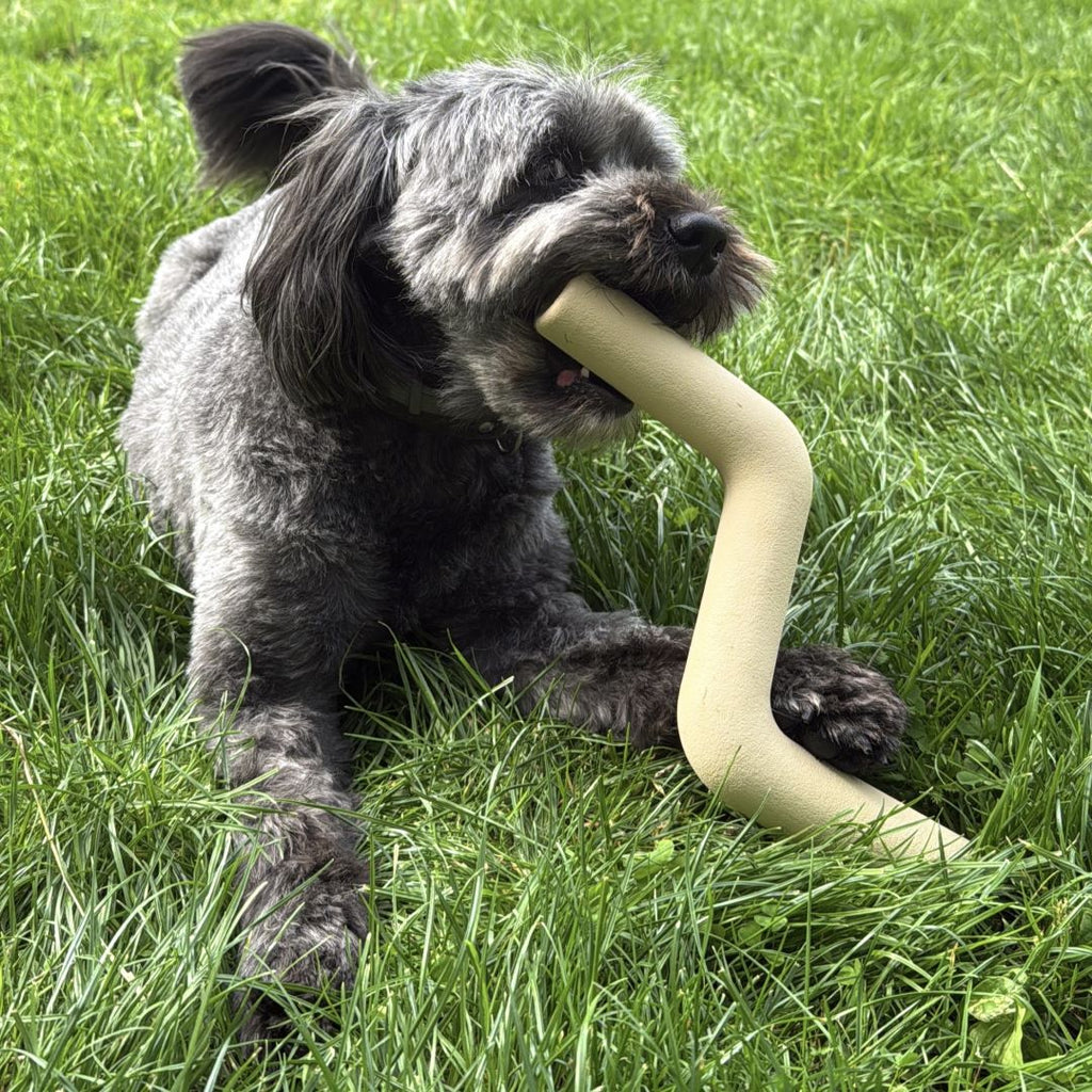 Hond kauwt op stevig kauwspeelgoed in de vorm van een tak
