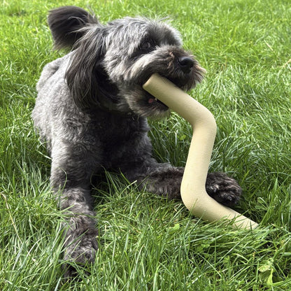 Hond-speelt-met-roze-blauwe-rode-paarse-beigeSpeeltak-van-natuurlijk-rubber-veilig-alternatief