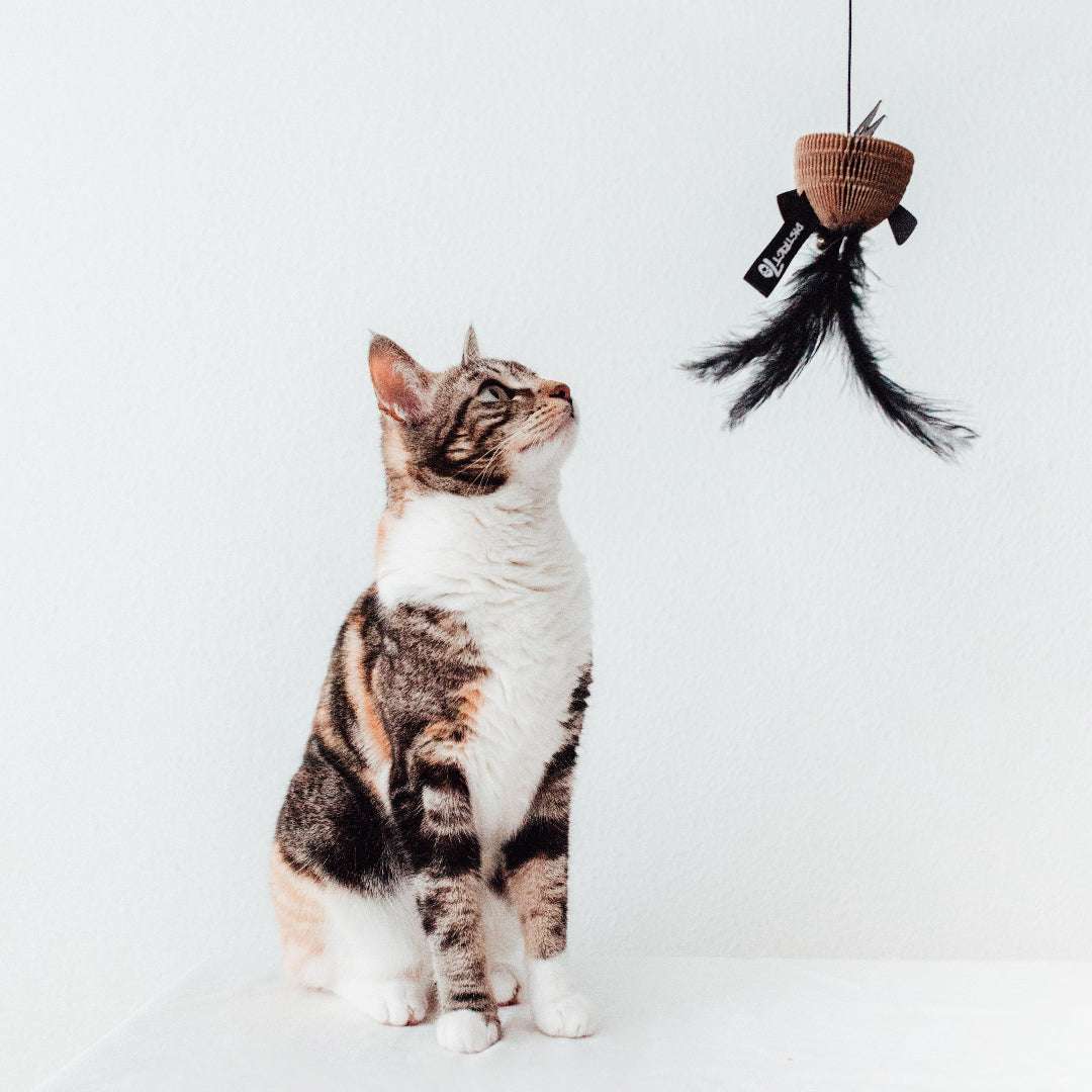 Kattenspeelgoed_veertje_en_vis_Pet_Party