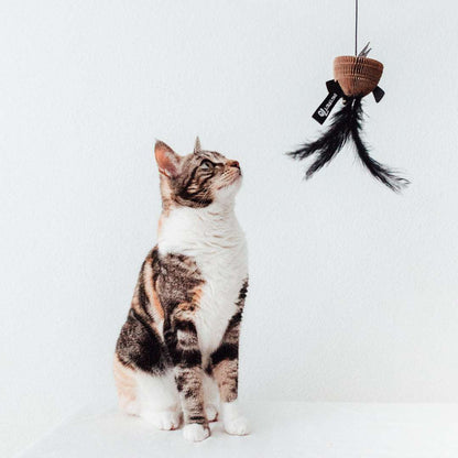 Kattenspeelgoed_veertje_en_vis_Pet_Party