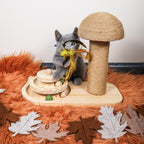 Krab_Speel_Paddenstoel_van_hout_mettouwkap_speelcirkel_en_catnipbal