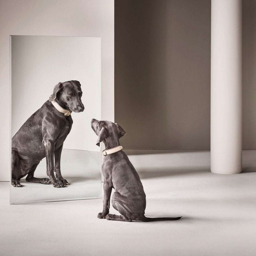 LABONI AMICI Halsband IVORY – Nappaleer – Handgemaakt – Hoog draagcomfort