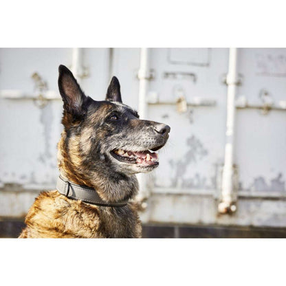 LABONI AMICI halsband van nappaleer in antraciet – handgemaakt, stijlvol en comfortabel

