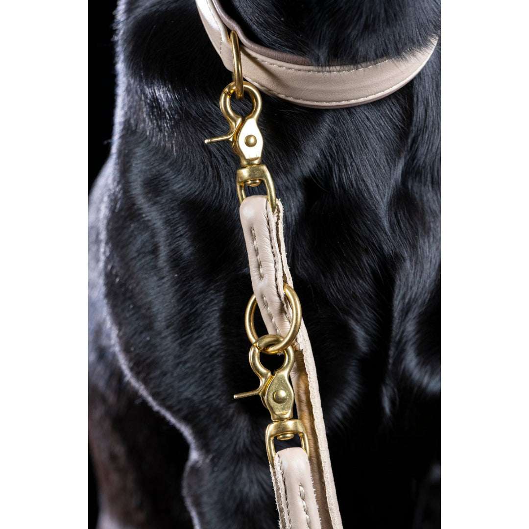 LABONI AMICI hondenriem in ivoor – handgemaakt van nappaleer en verstelbaar voor elke situatie