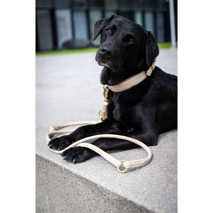 LABONI AMICI hondenriem in ivoor – handgemaakt van nappaleer en verstelbaar voor elke situatie