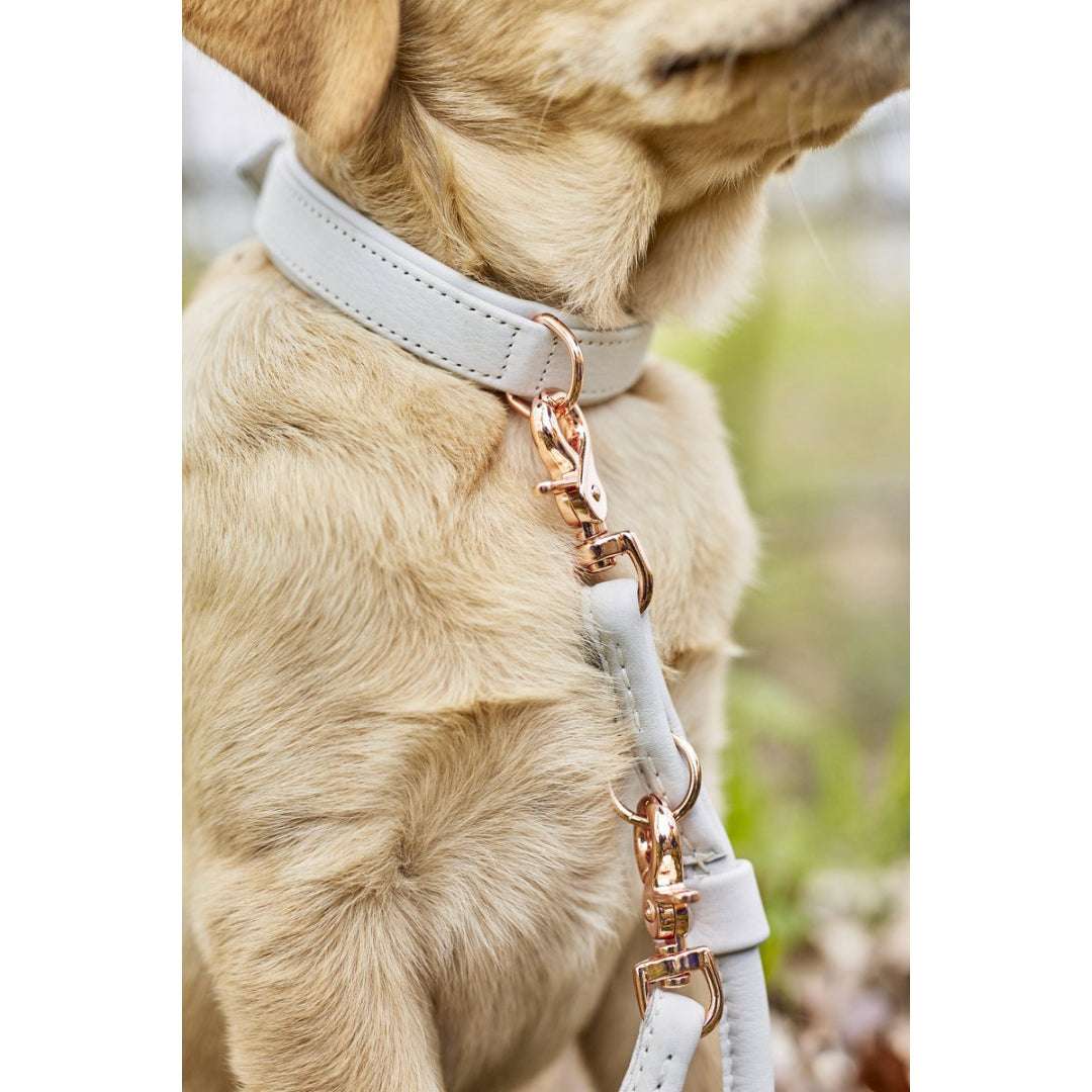 LABONI AMICI Hondenriem – Nappaleer – Grijs – Handgemaakt & Verstelbaar