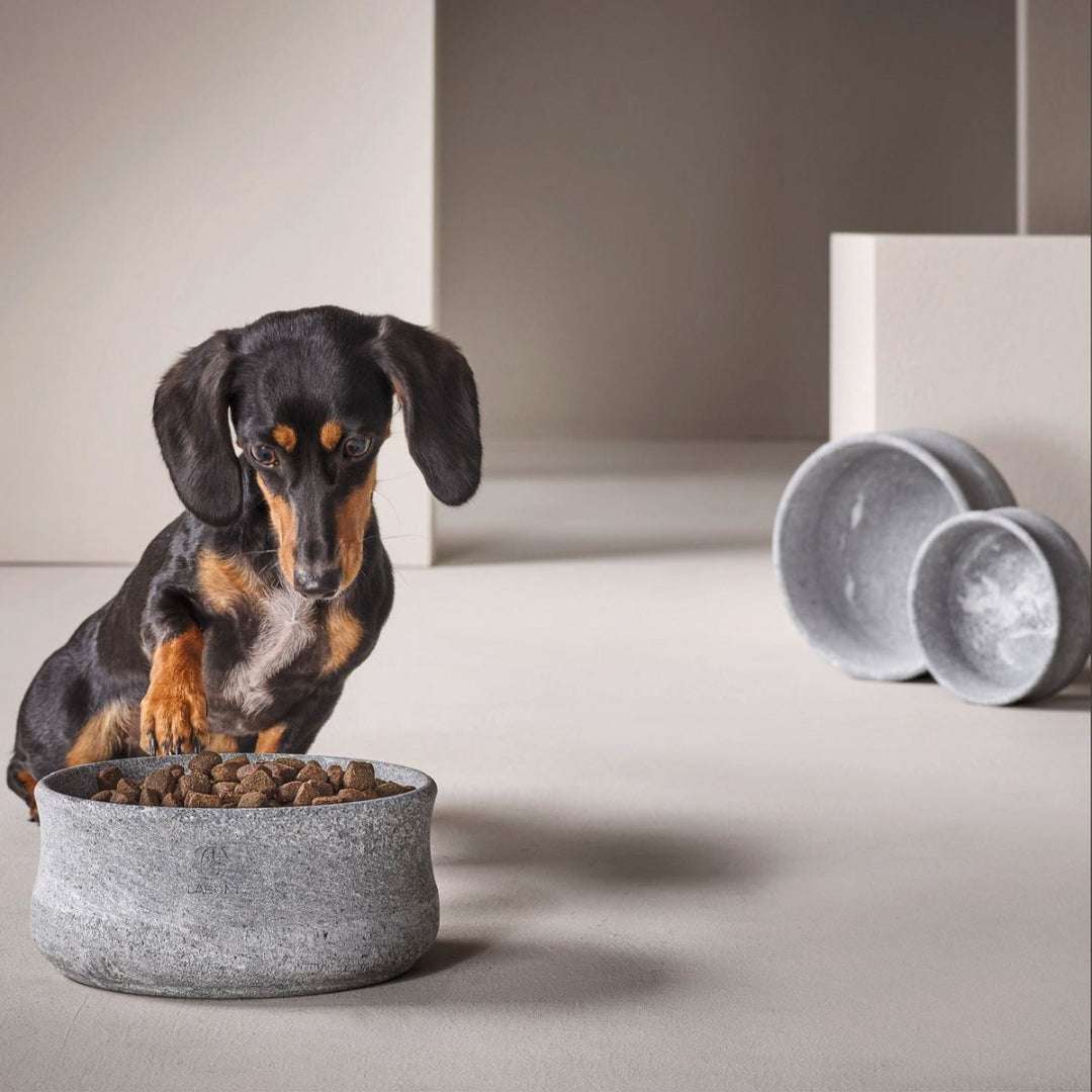 LABONI ROCKY Voer- en Drinkbak – Speksteen – Grijs – Zelfkoelend & Handgemaakt