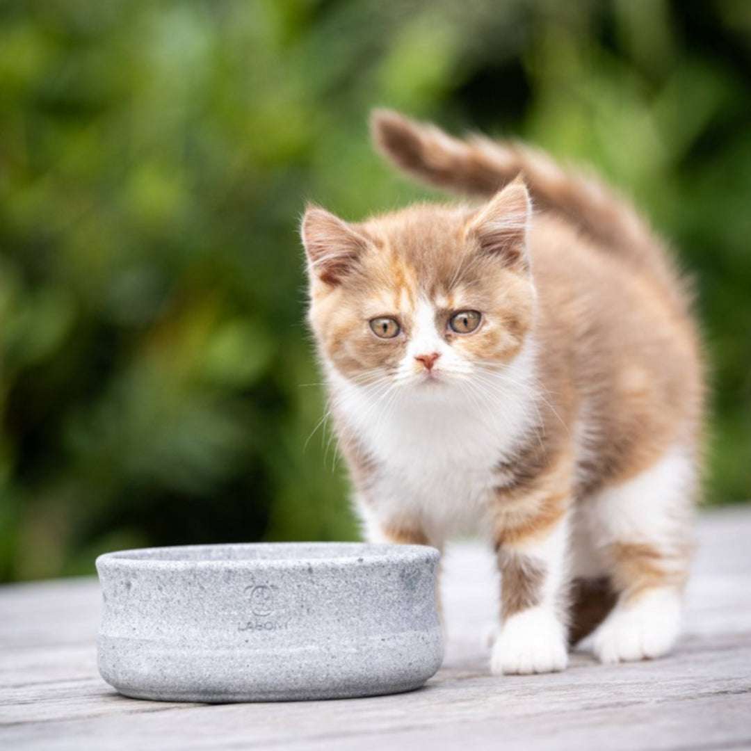 LABONI ROCKY Voer- en Drinkbak – Speksteen – Grijs – Zelfkoelend & Handgemaakt