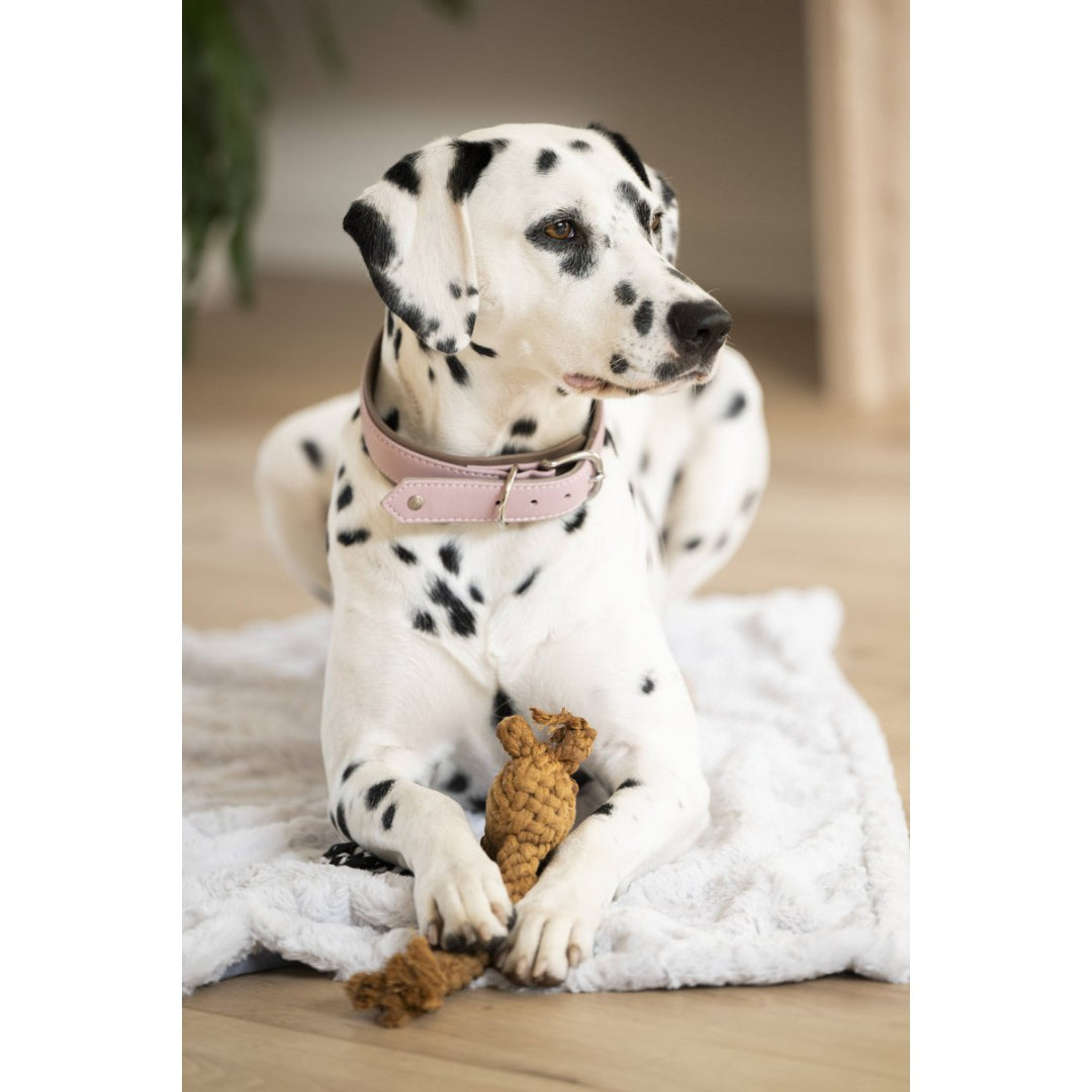 LABONI AMICI hondenhalsband in roze nappaleer – handgemaakt en comfortabel met roségouden accenten