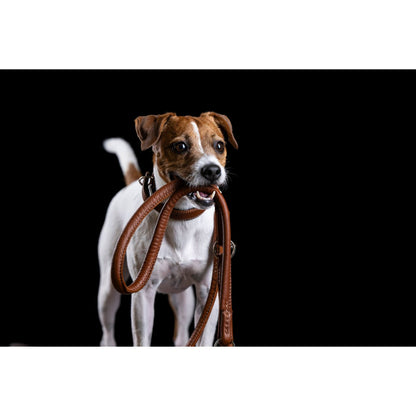 LABONI AMICI hondenriem van nappaleer in cognackleur – handgemaakt, verstelbaar en duurzaam