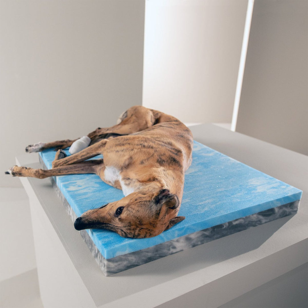 LABONI GLAM orthopedisch hondenbed van fluweel met afneembare hoes, grafiet