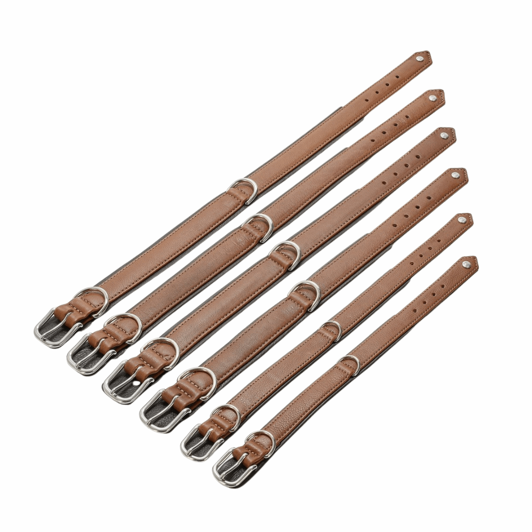 Cognackleurige leren hondenhalsband AMICI met dubbele D-ring