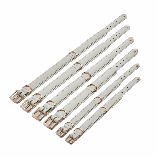 LABONI AMICI hondenhalsband van lichtgrijs nappaleer – handgemaakt en comfortabel voor dagelijks gebruik