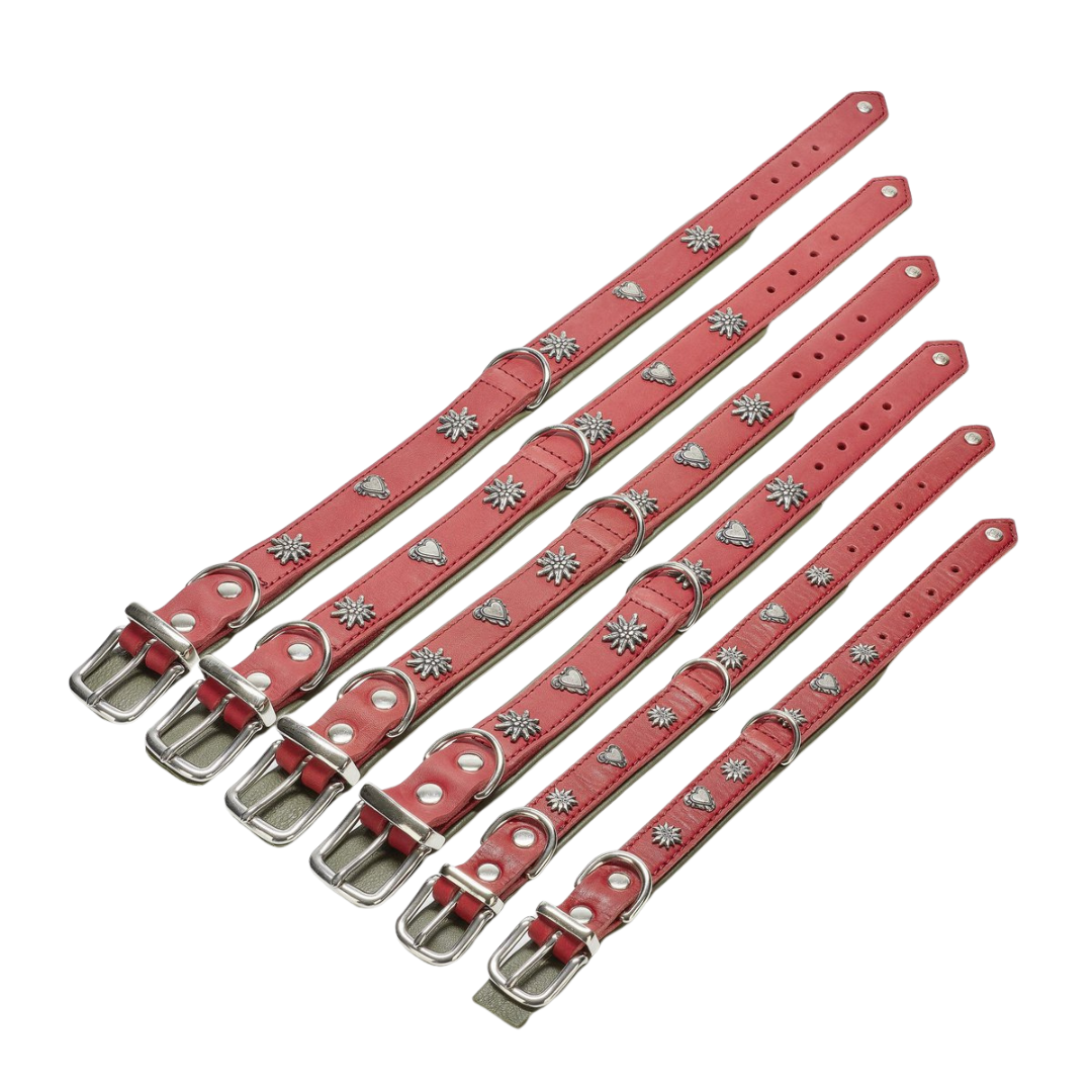 Luxe rode Edelweiss hondenhalsband van leer met Alpen-applicatie