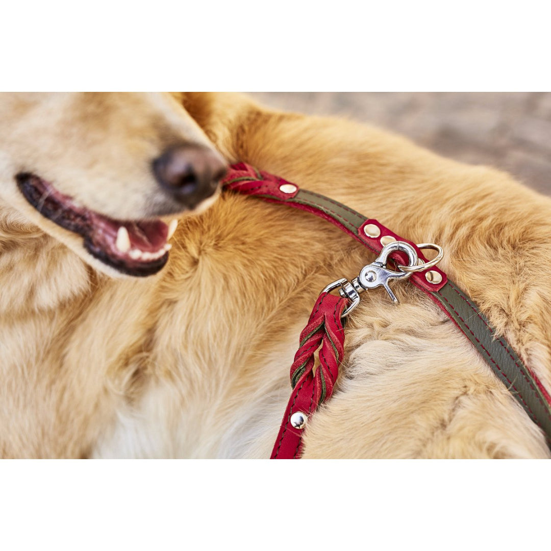Luxe Edelweiss hondenriem van leer met handgevlochten details