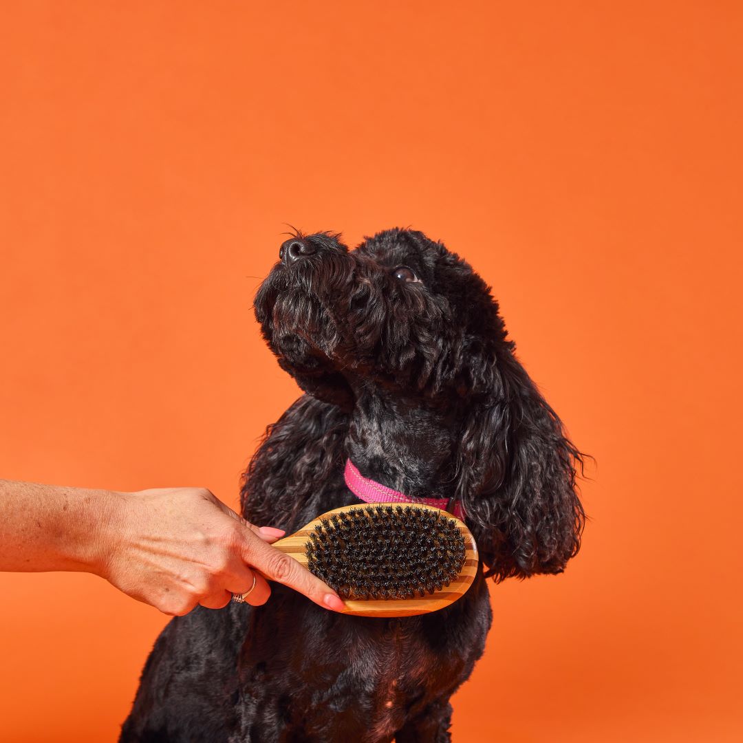 OurDogsLife bamboe hondenborstel dubbelzijdig met borstelharen en siliconen massage kop omhoog