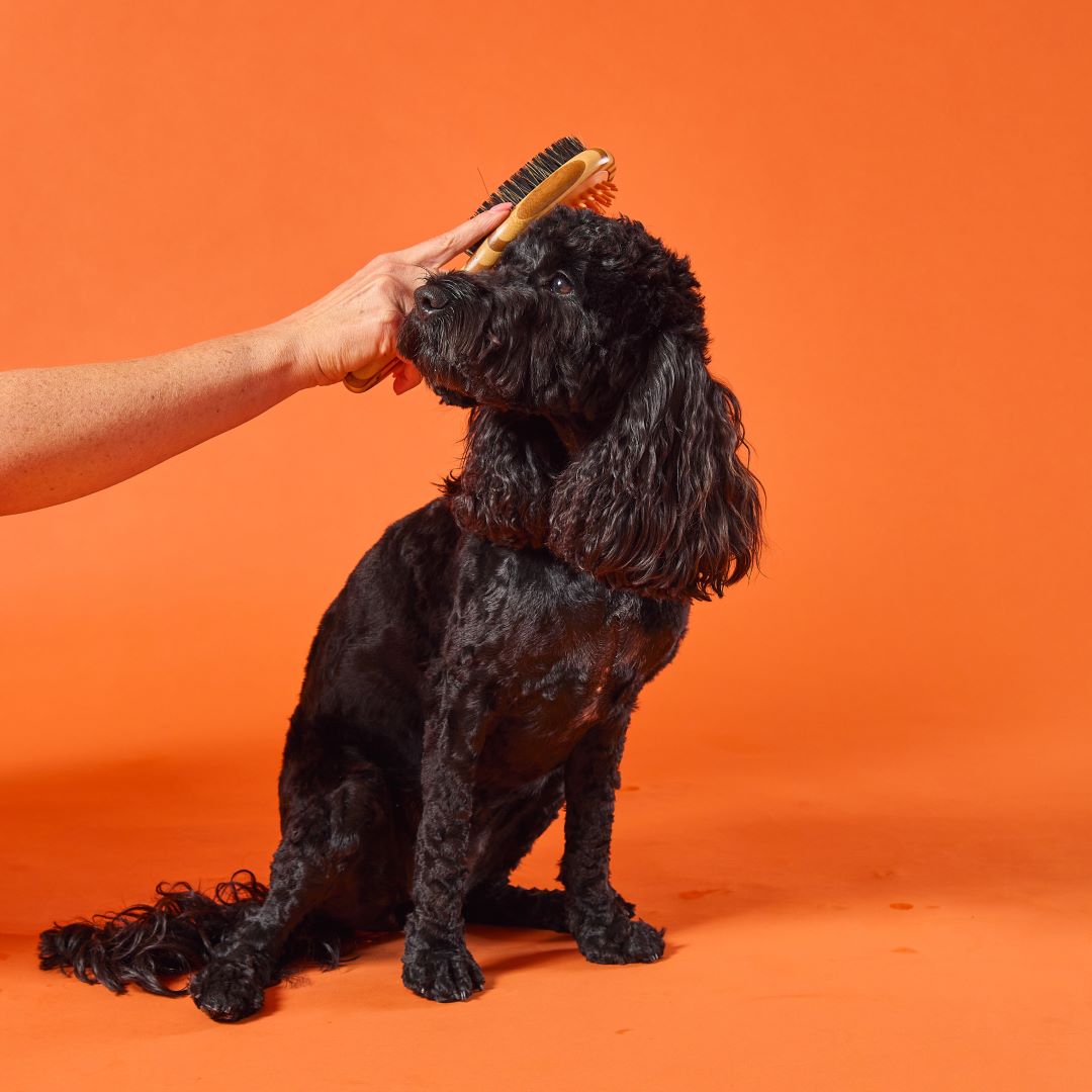 OurDogsLife bamboe hondenborstel dubbelzijdig met borstelharen en siliconen massage labradoodl