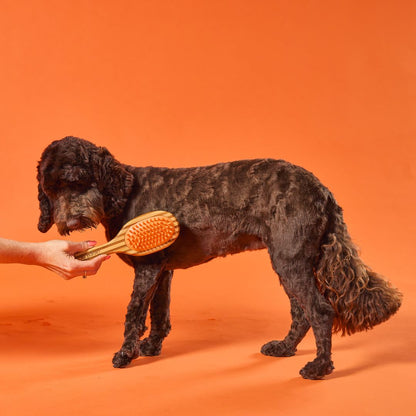 OurDogsLife bamboe hondenborstel dubbelzijdig met borstelharen en siliconen massage voor honden