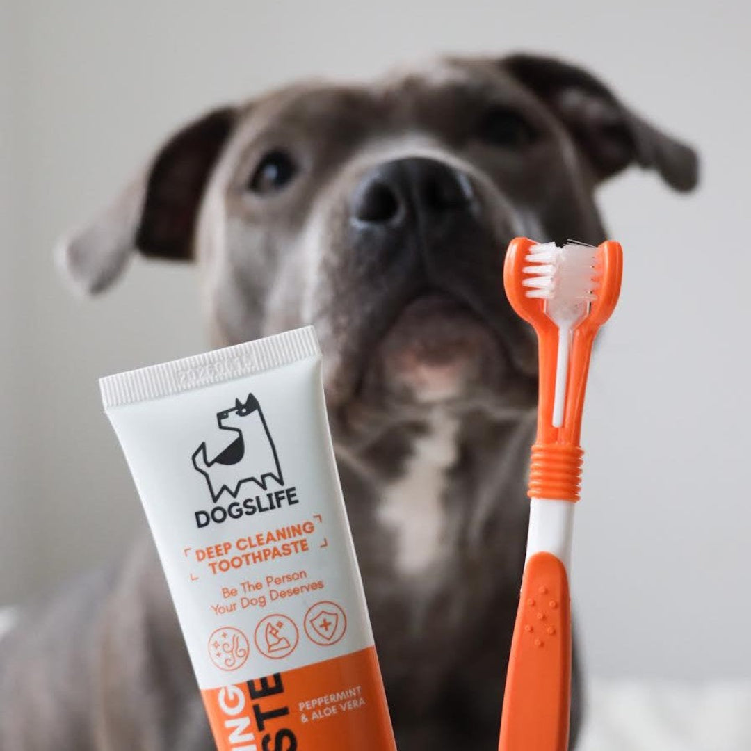  OurDogsLife dental kit voor honden – driekoppige borstel en tandpasta