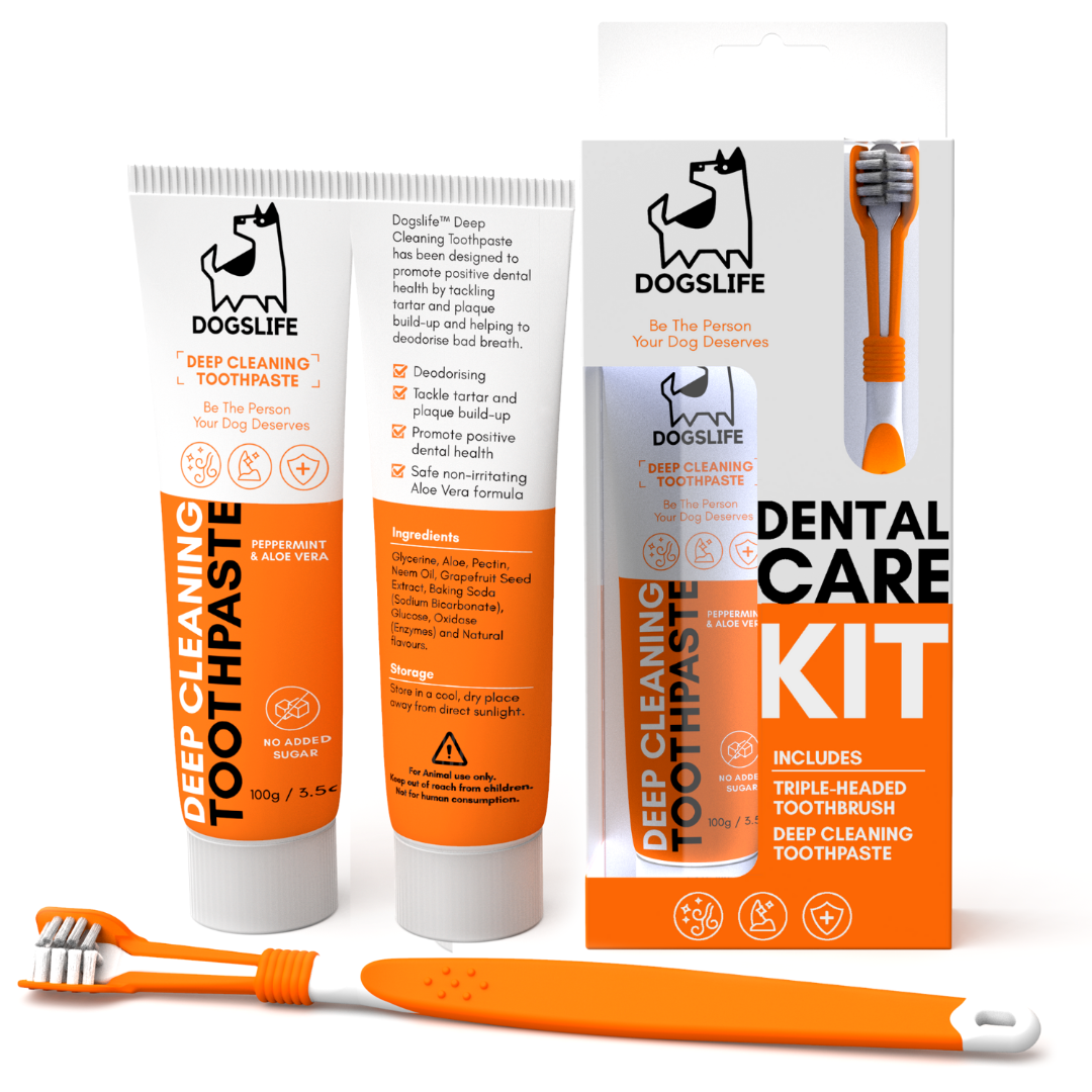  OurDogsLife dental kit voor honden – driekoppige borstel en tandpasta