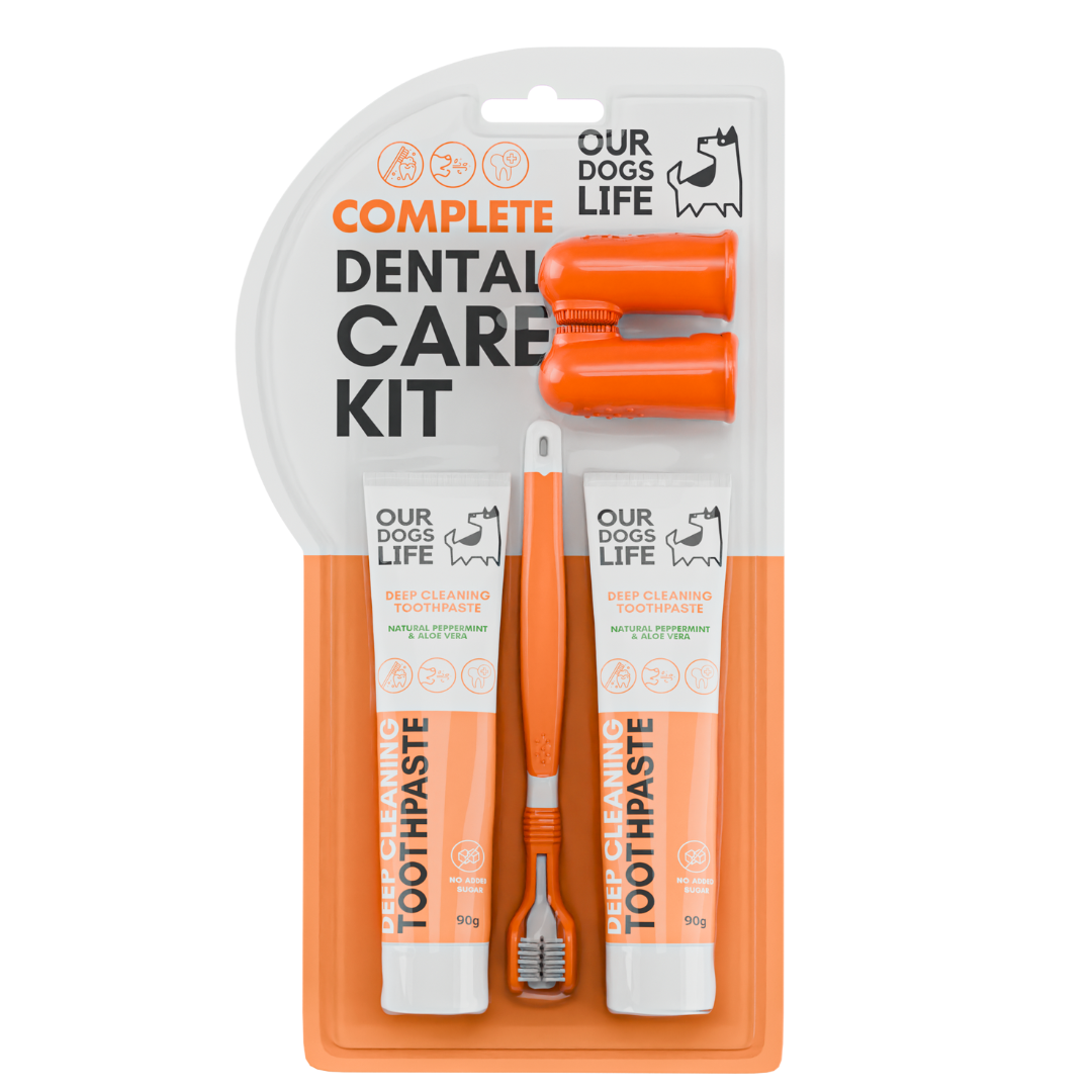 OurDogsLife dental kit voor honden – driekoppige borstel en tandpasta