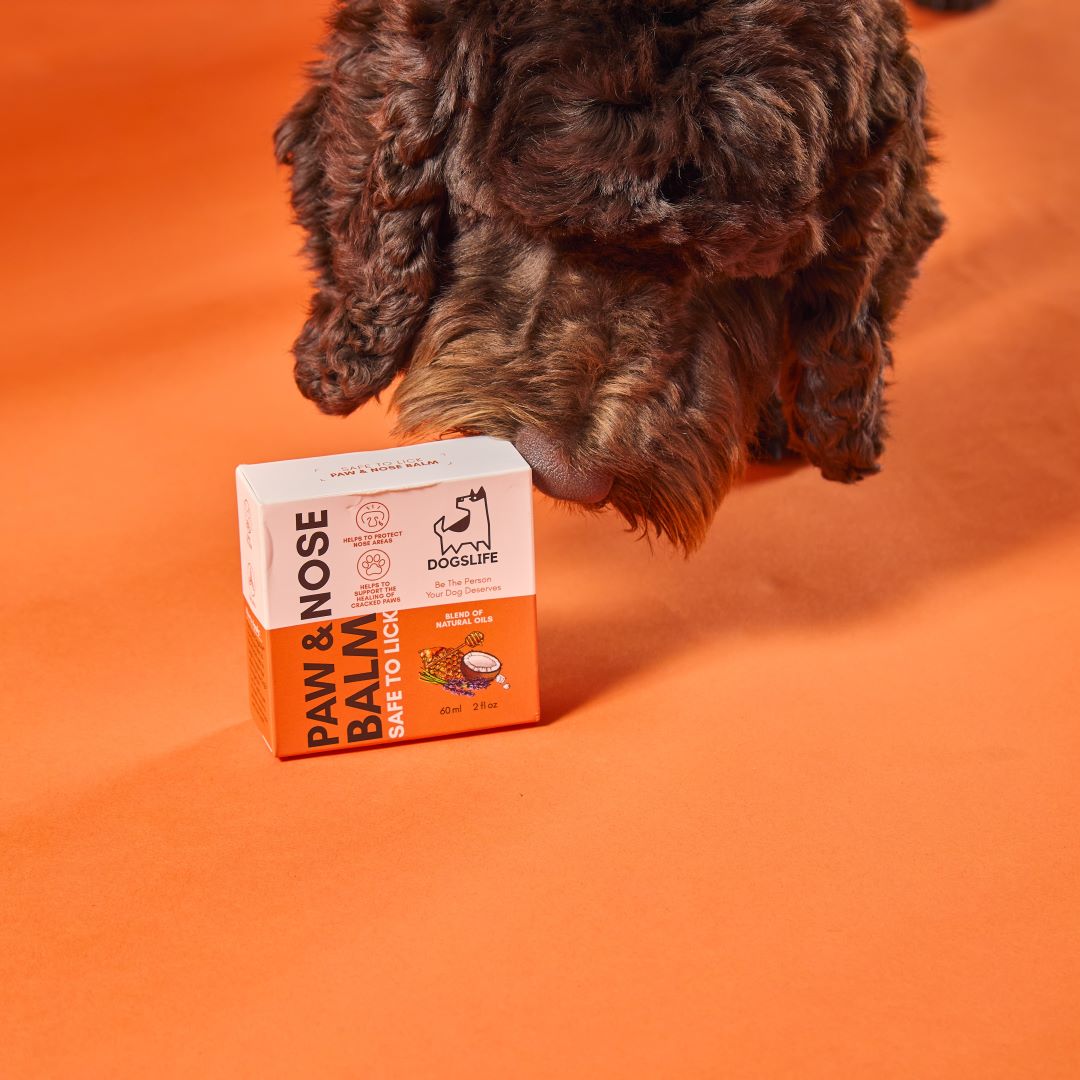 OurDogsLife paw & nose balm voor verzorging van hondenpoten en neus