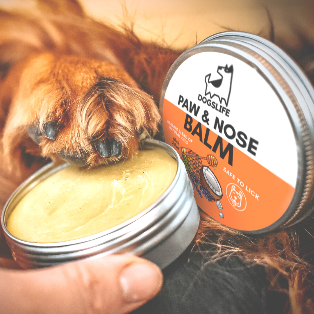 OurDogsLife paw & nose balm voor verzorging van hondenpoten en neus poot op balsum