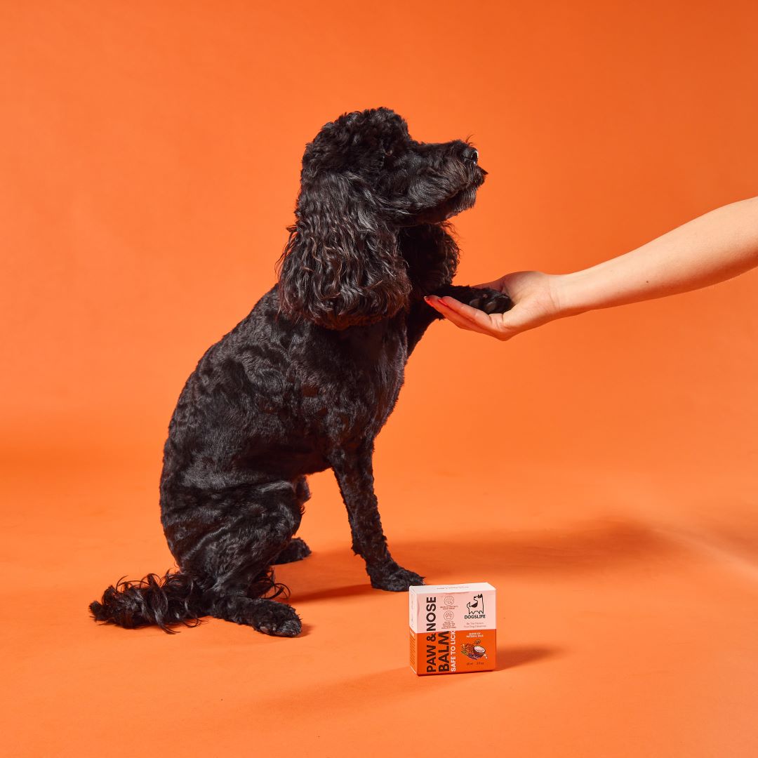 OurDogsLife paw & nose balm voor verzorging van hondenpoten en neus