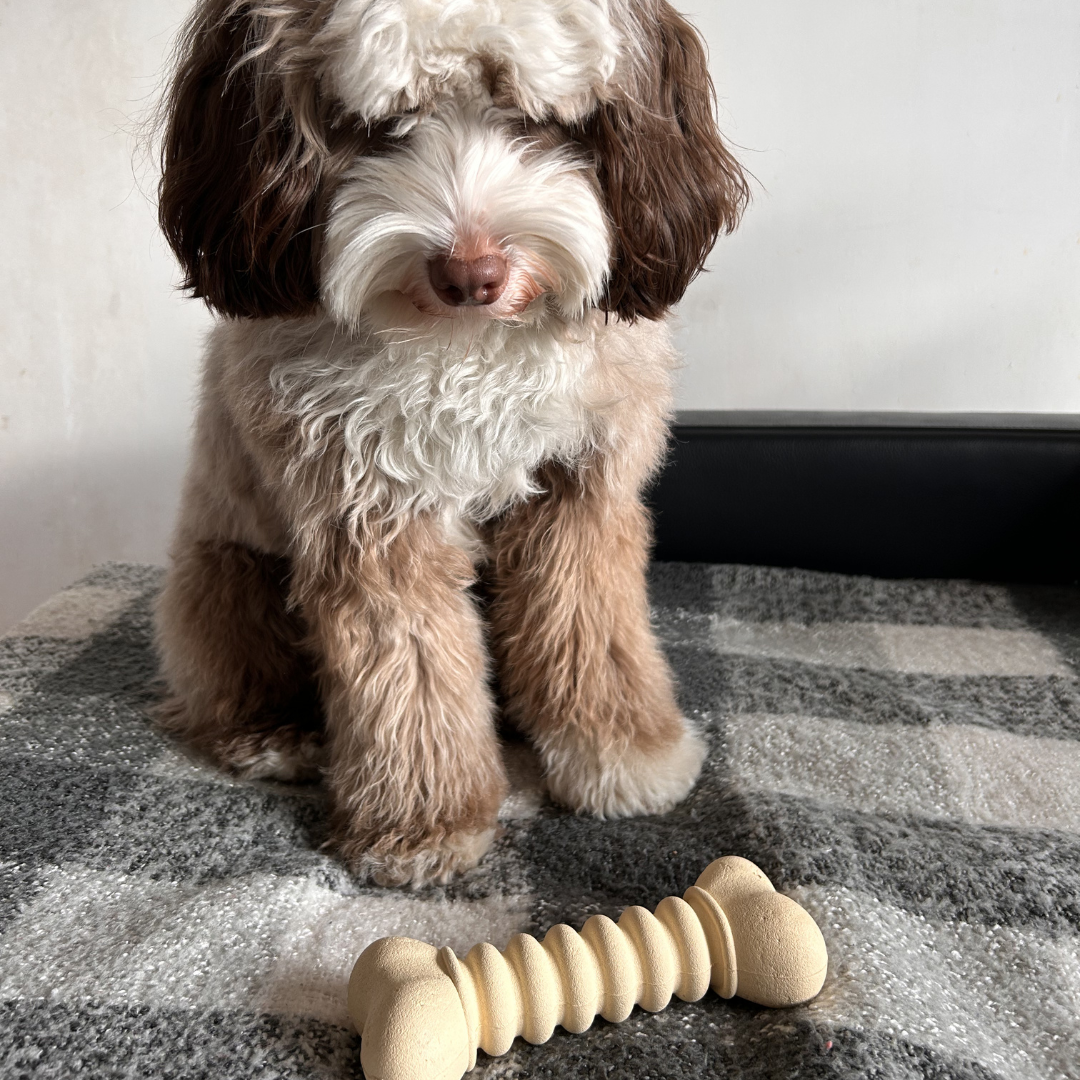 natuurlijk rubber ribbbelbot voor honden vermaak. hondenspeelgoed van natuurlijk rubber.