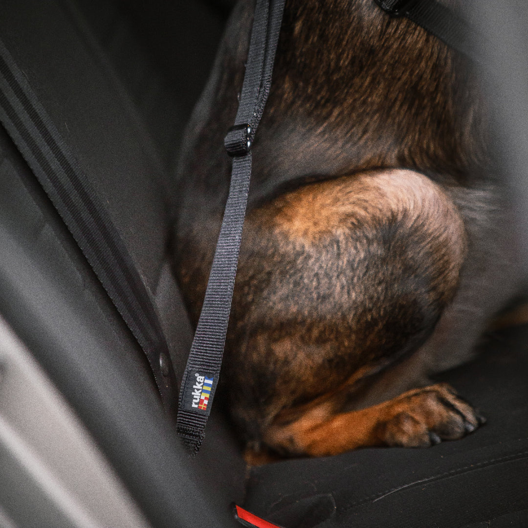 Rukka Seatbelt Clip ISOFIX autogordel voor honden, verstelbaar en veilig in de auto