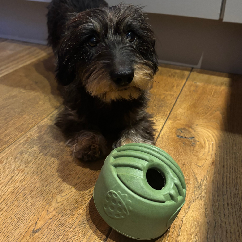 groene snuffel&snackbal van natuurlijk rubber met opening voor hondensnacks. mentale uitdaging met beloning.